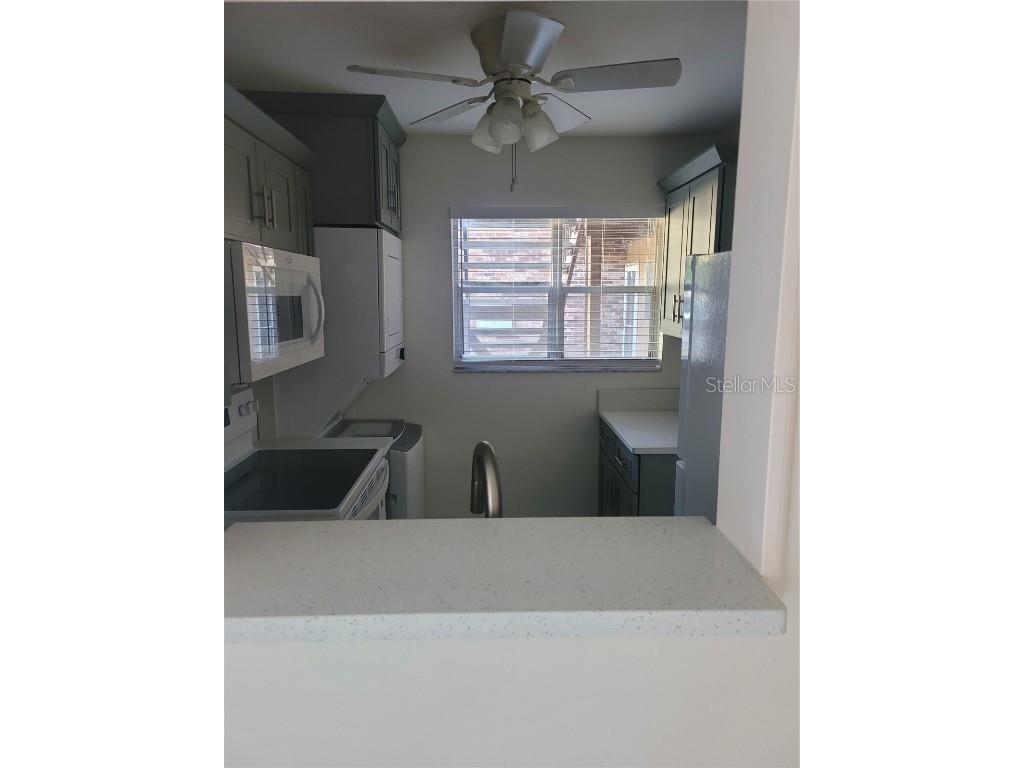 10485 Carrollbrook Circle #120 Tampa FL 33618 TB8452690 image8