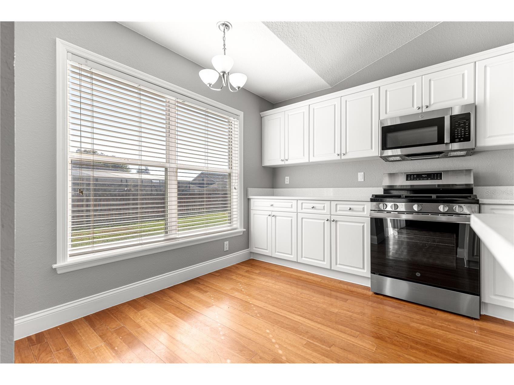 10485 SE 42nd Court Belleview FL 34420 OM720664 image15