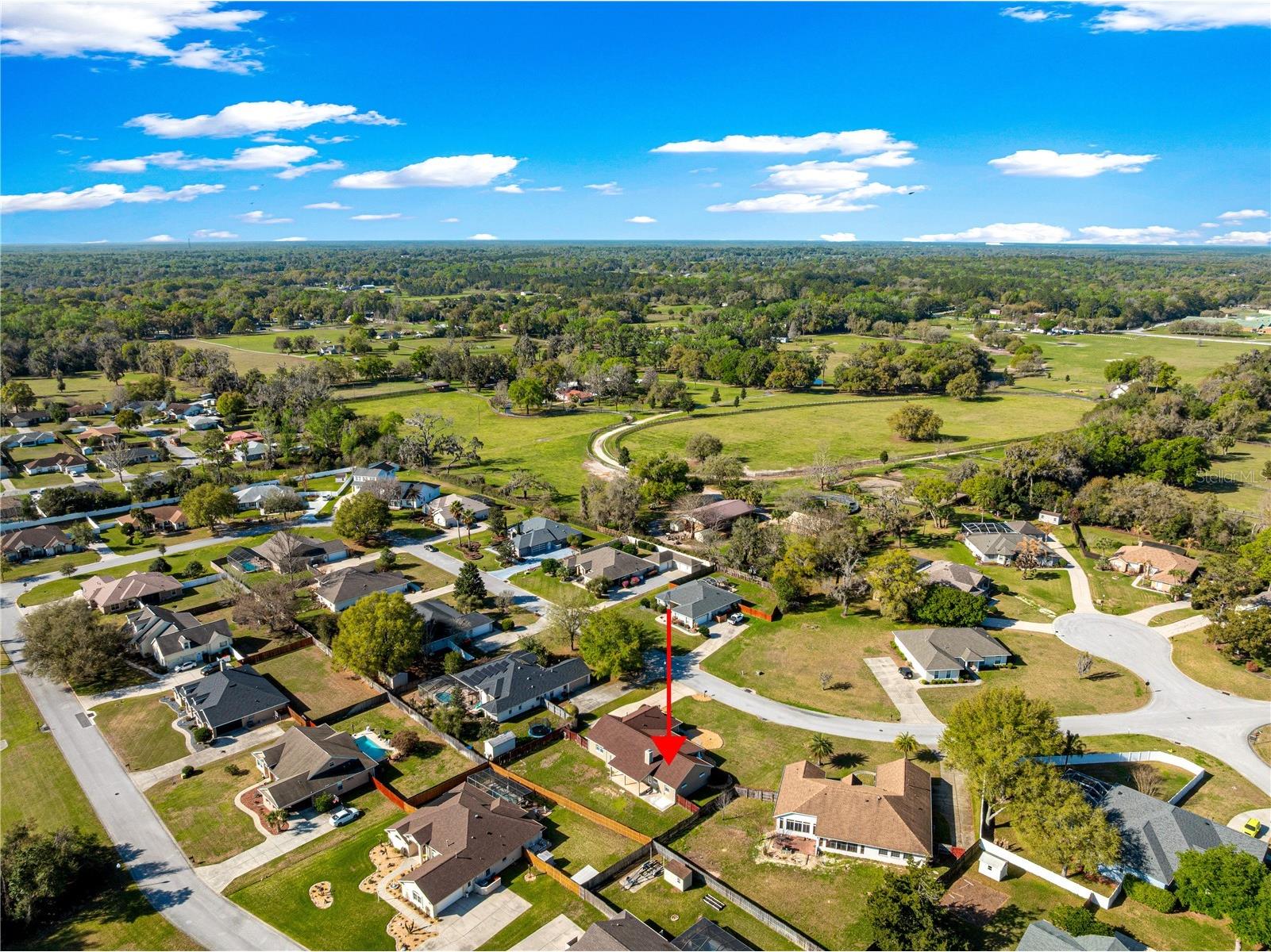 10485 SE 42nd Court Belleview FL 34420 OM720664 image57