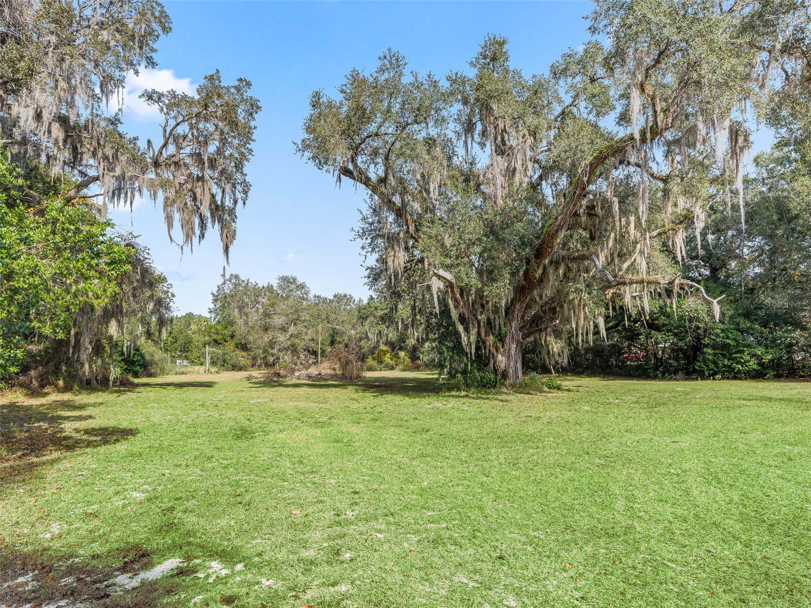 10487 SE Highway 42 Summerfield FL 34491 G5110697 image58