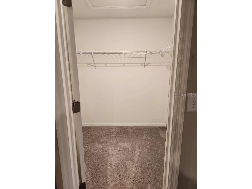 10488 Shady Preserve Drive Riverview FL 33578 O6359249 image11