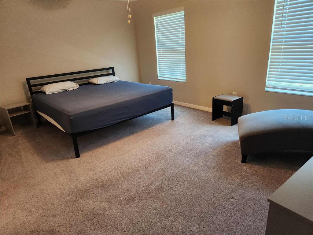 10488 Shady Preserve Drive Riverview FL 33578 O6359249 image12