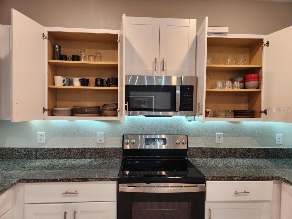 10488 Shady Preserve Drive Riverview FL 33578 O6359249 image15