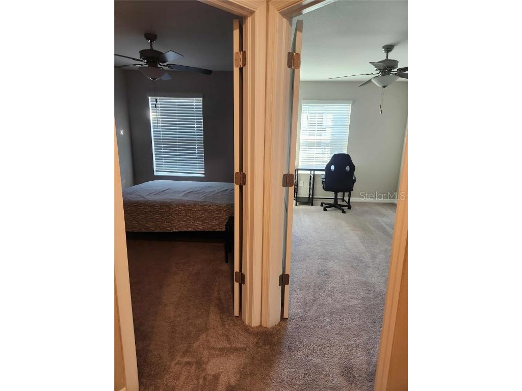 10488 Shady Preserve Drive Riverview FL 33578 O6359249 image6