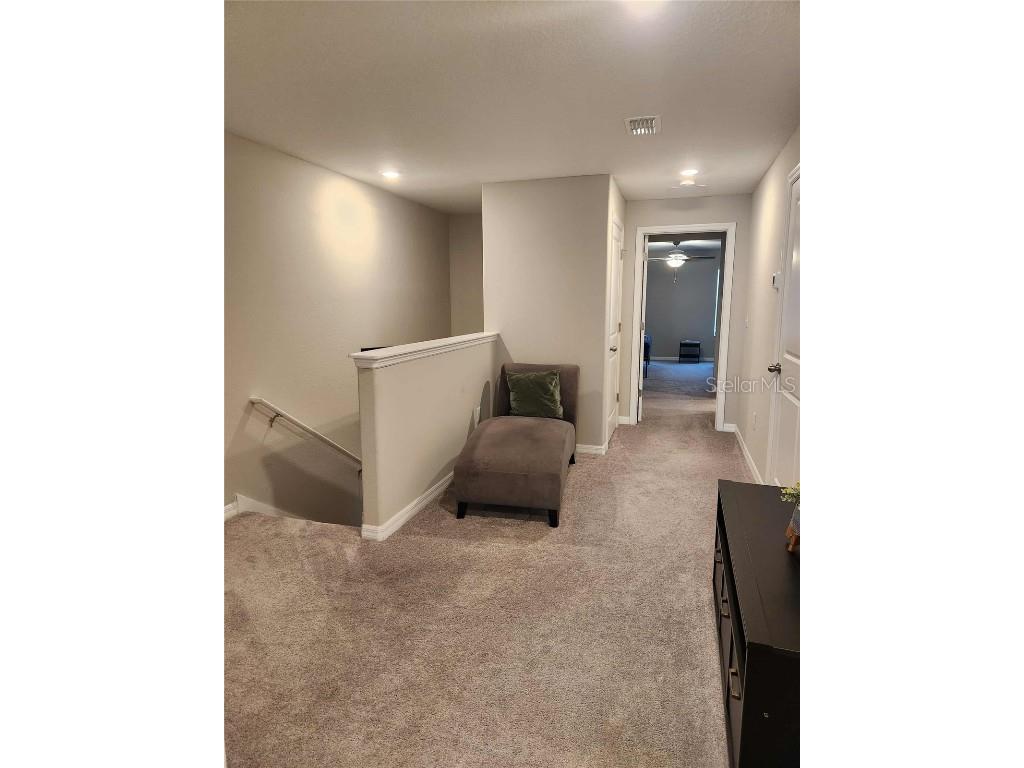 10488 Shady Preserve Drive Riverview FL 33578 O6359249 image7