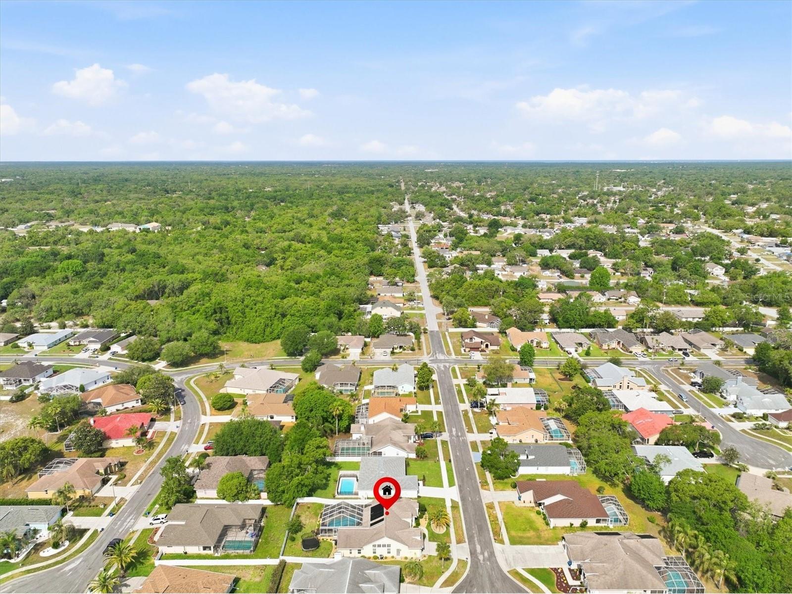 1049 Larkin Road Spring Hill FL 34608 TB8504634 image61
