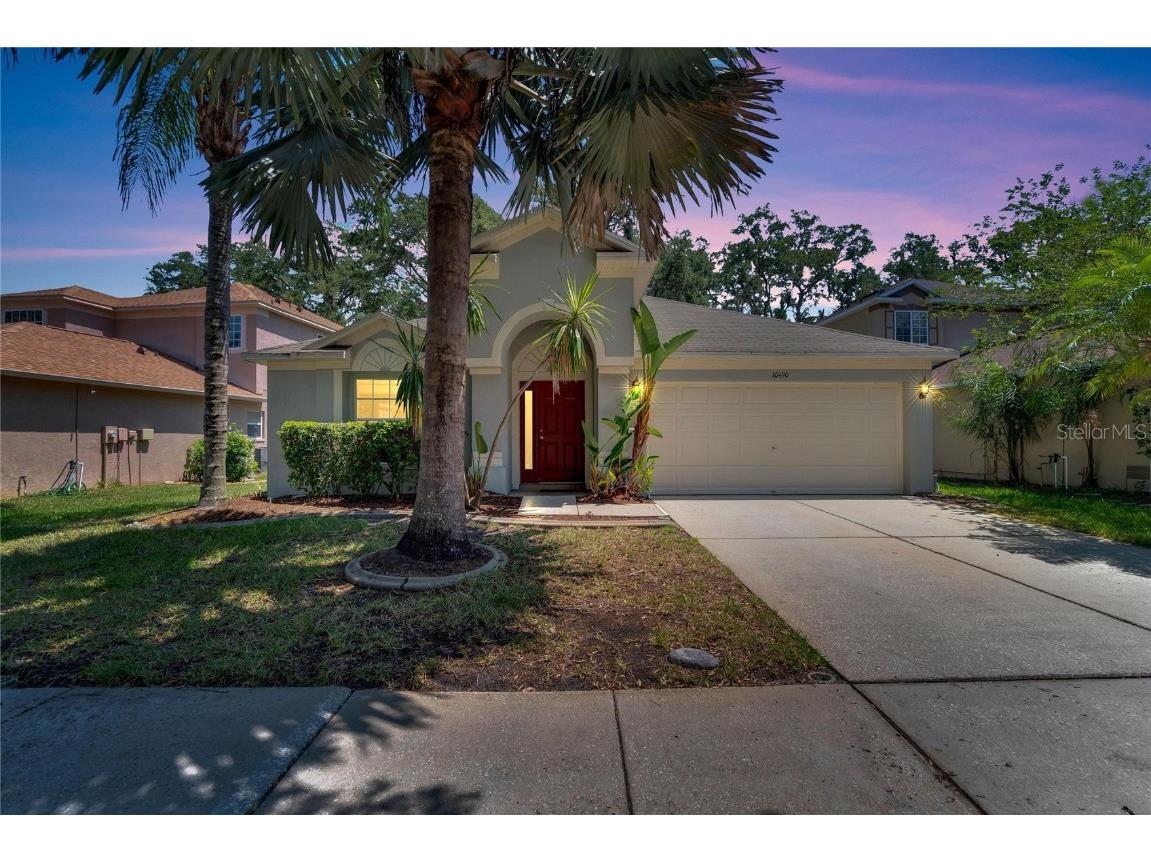 10490 Lucaya Drive Tampa FL 33647 T3446530 image1