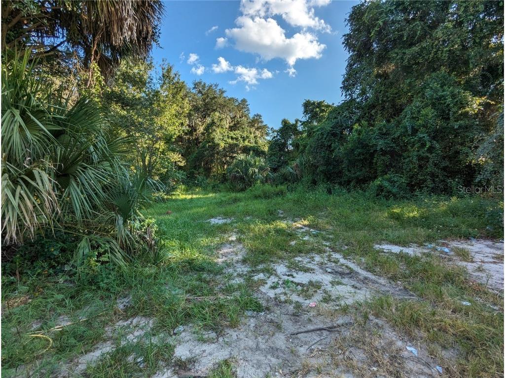 10490 SE 149th Street Summerfield FL 34491 OM664324 image1