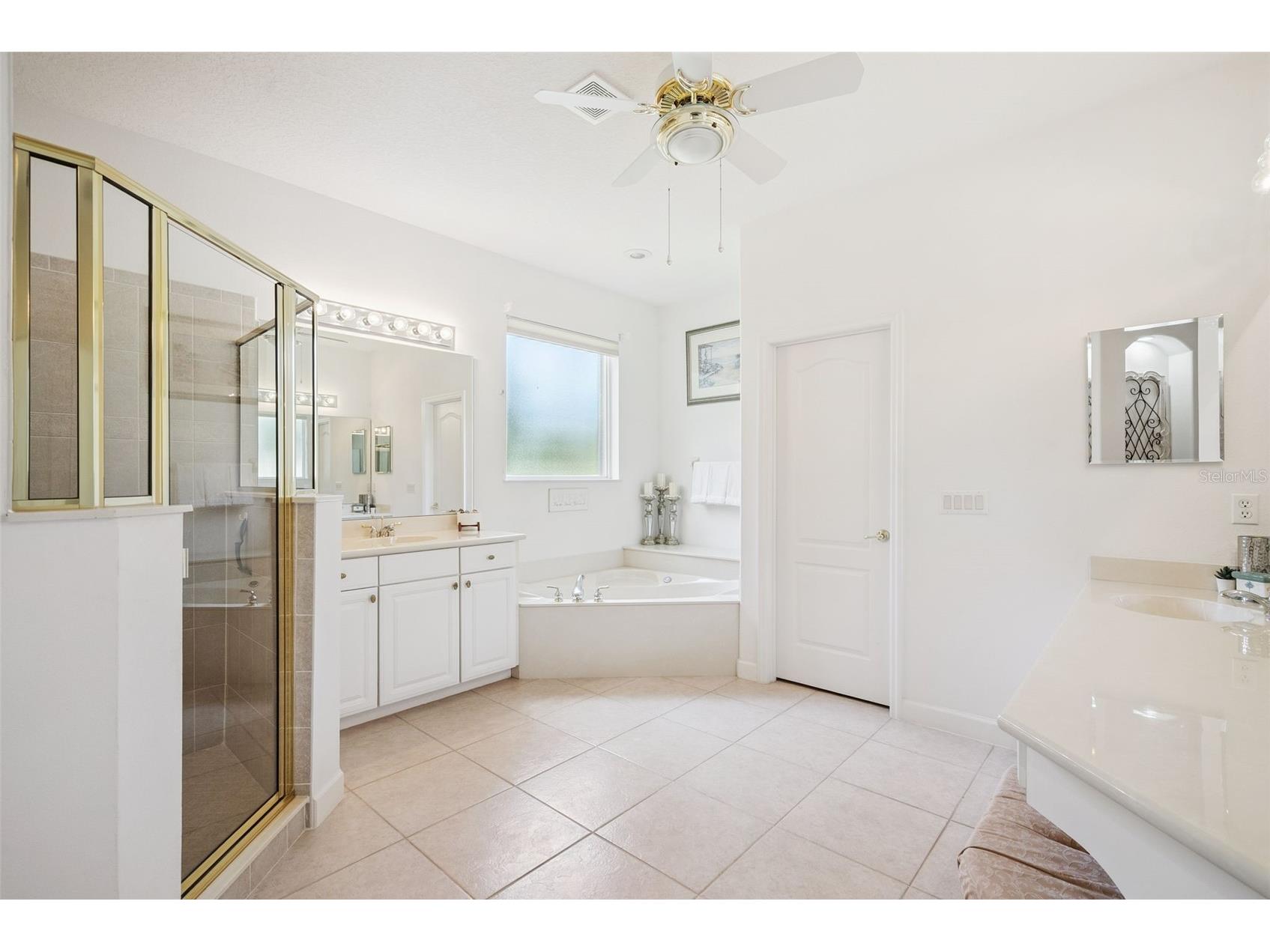 10490 Wiscane Avenue Orlando FL 32836 O6408748 image30