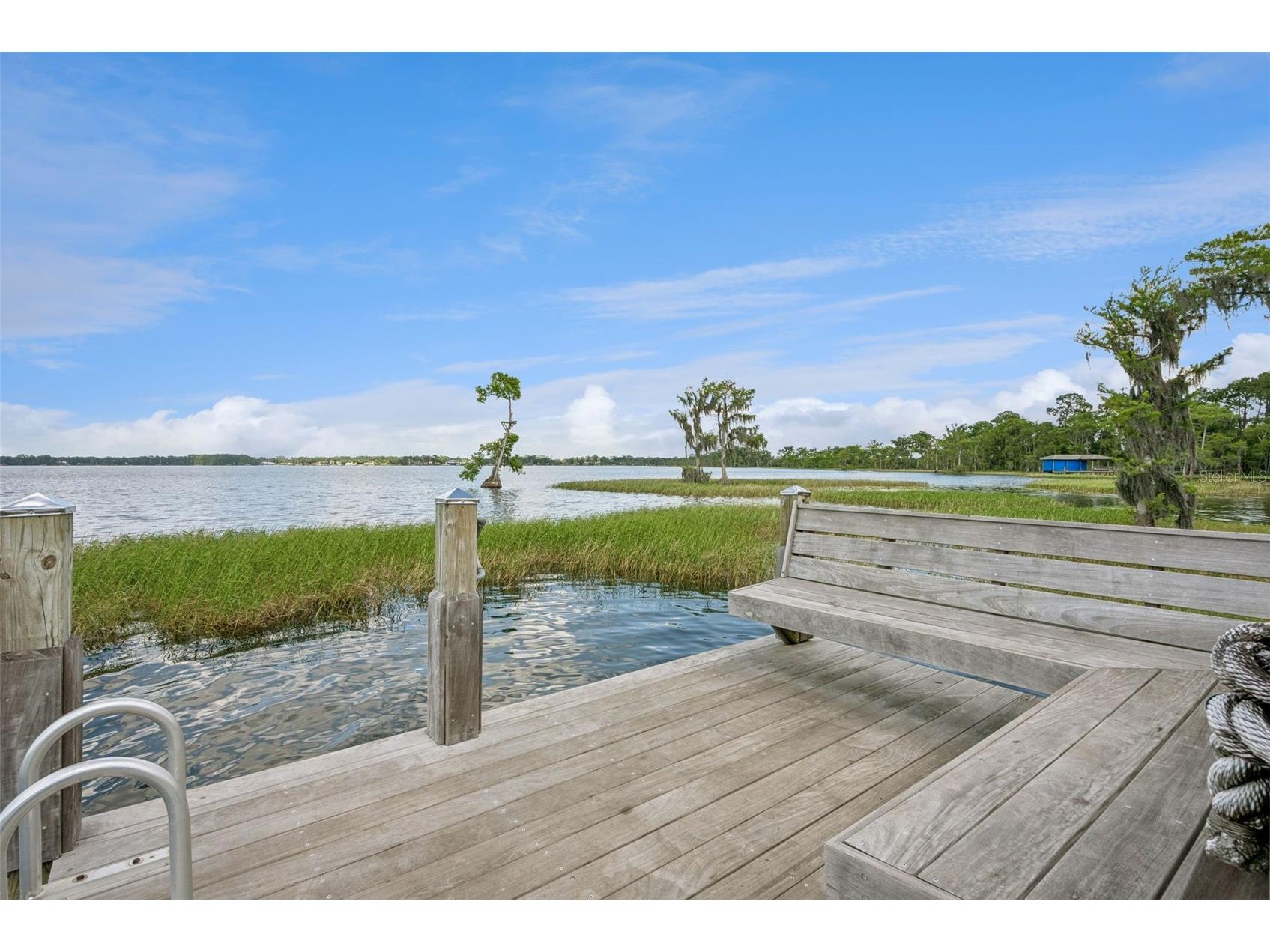 10490 Wiscane Avenue Orlando FL 32836 O6408748 image65