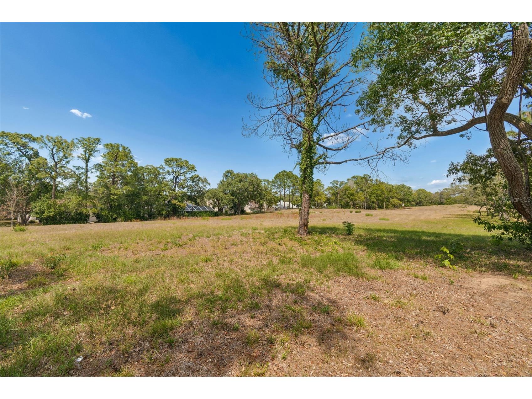 10491 Casa Grande Circle Spring Hill FL 34608 TB8504382 image55