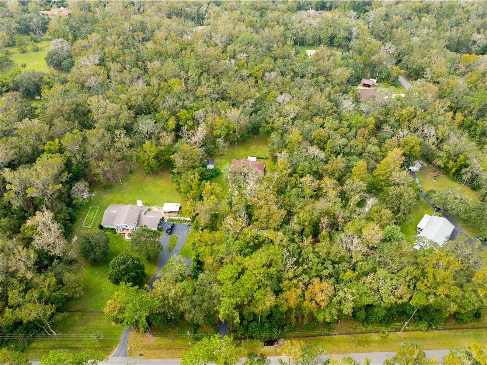 10491 Joyce Drive Brooksville FL 34601 TB8492693 image40