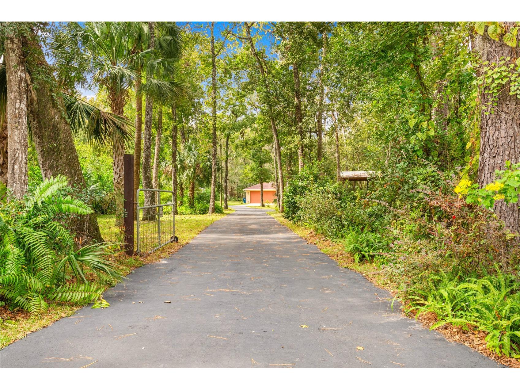 10491 Joyce Drive Brooksville FL 34601 TB8492693 image5