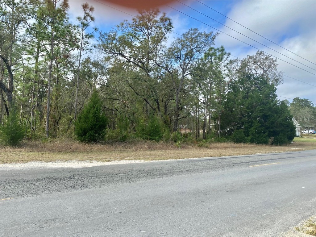 10492 Thrasher Avenue Weeki Wachee FL 34614 W7872704 image1