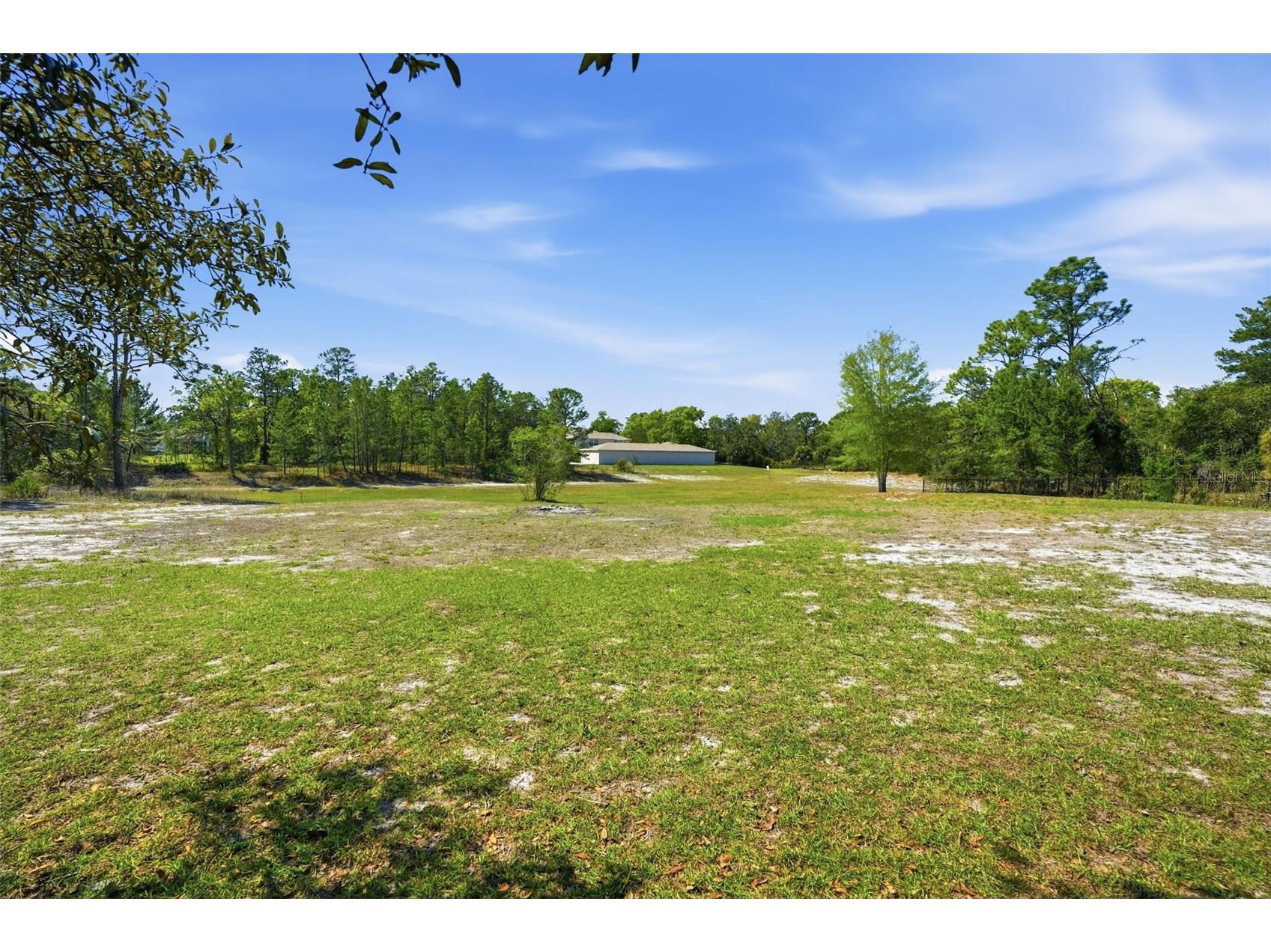 10494 Desert Sparrow Avenue Weeki Wachee FL 34613 TB8490283 image4