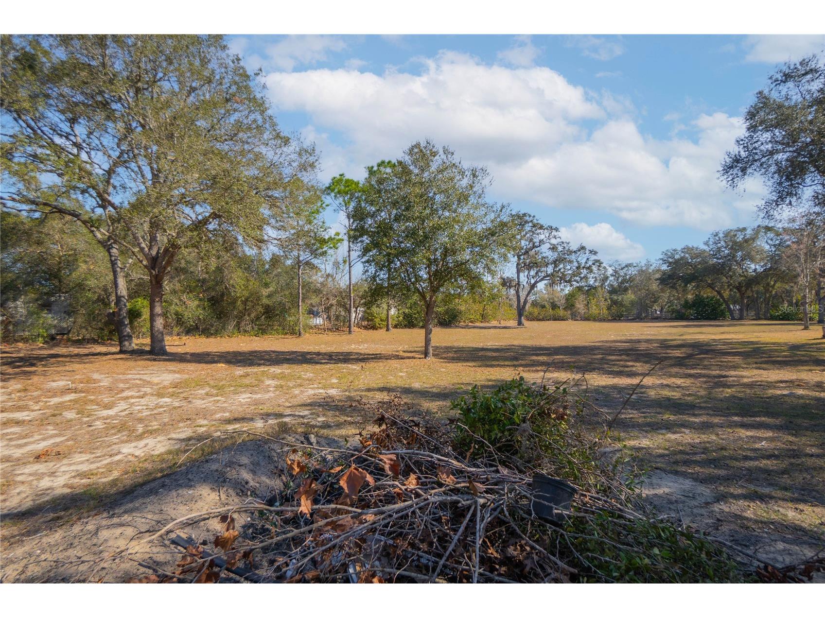 10494 N Spence Avenue Dunnellon FL 34433 OM724192 image31