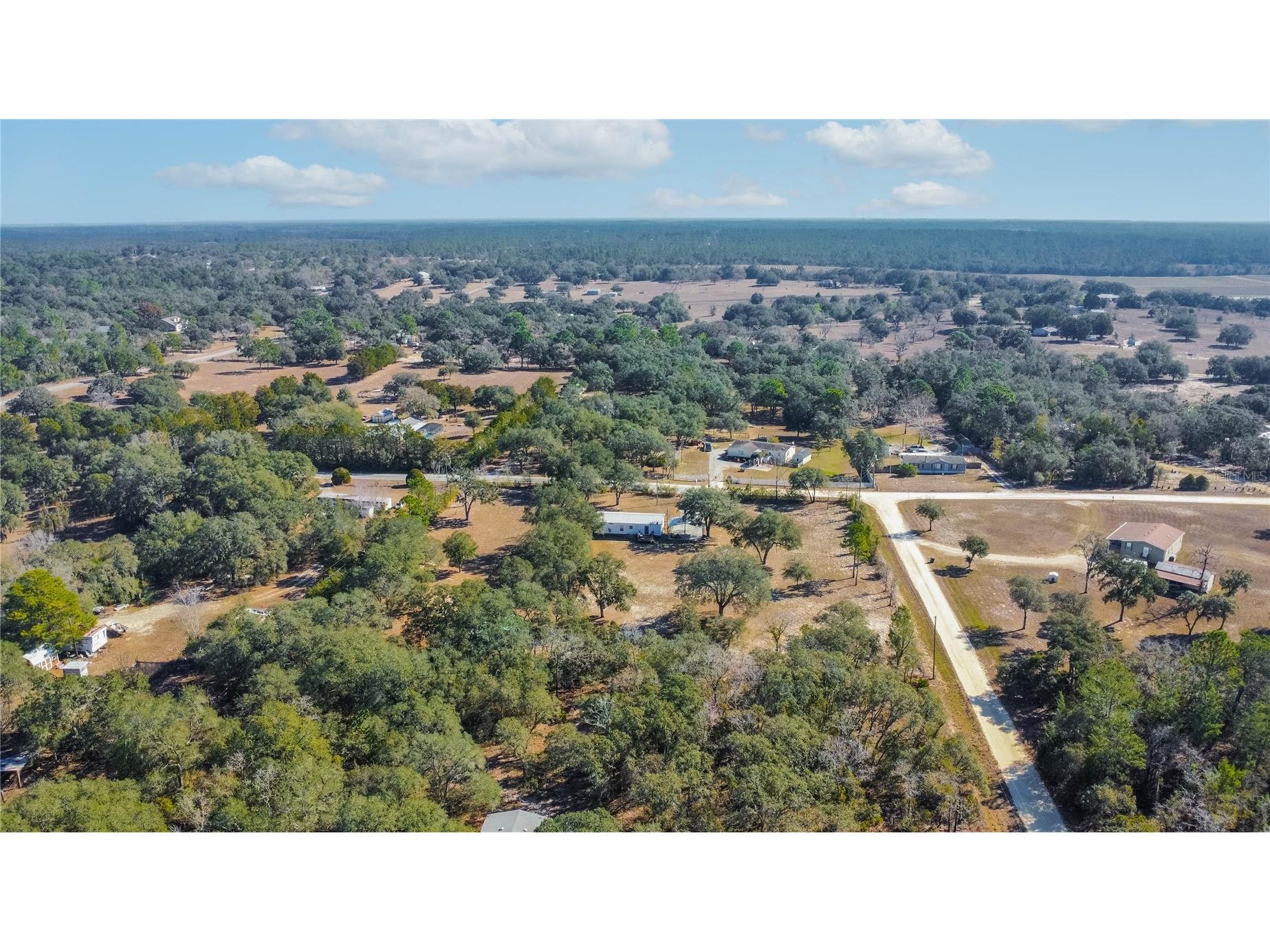 10494 N Spence Avenue Dunnellon FL 34433 OM724192 image37