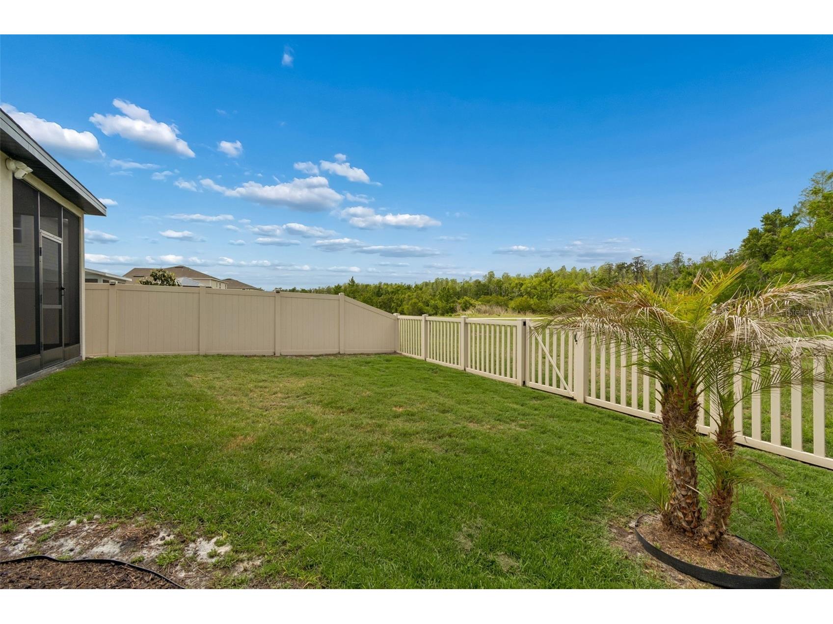 10495 Gliding Eagle Way Land O Lakes FL 34638 TB8496827 image38