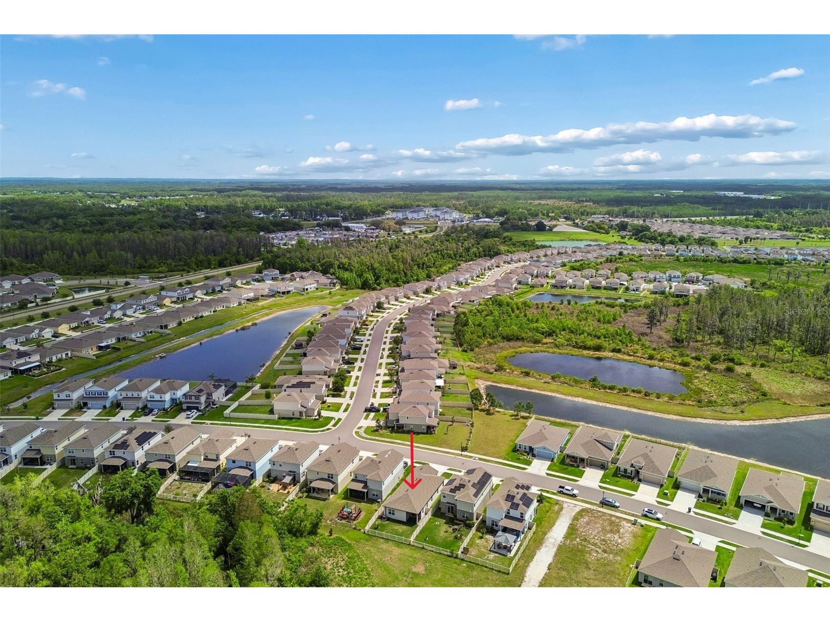 10495 Gliding Eagle Way Land O Lakes FL 34638 TB8496827 image43