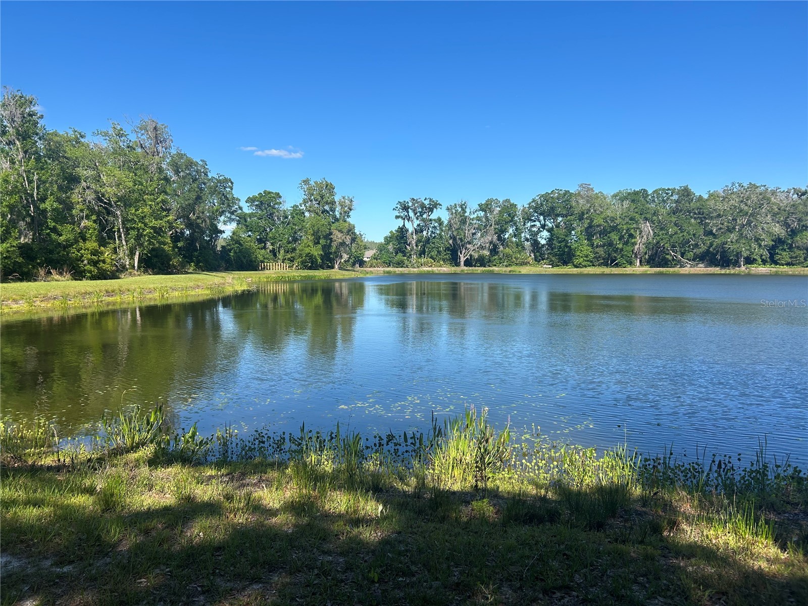 10495 Gliding Eagle Way Land O Lakes FL 34638 TB8496827 image47