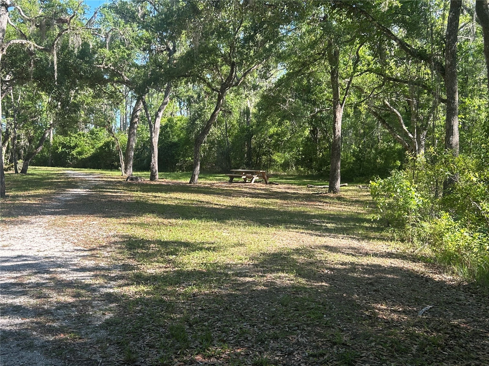 10495 Gliding Eagle Way Land O Lakes FL 34638 TB8496827 image48