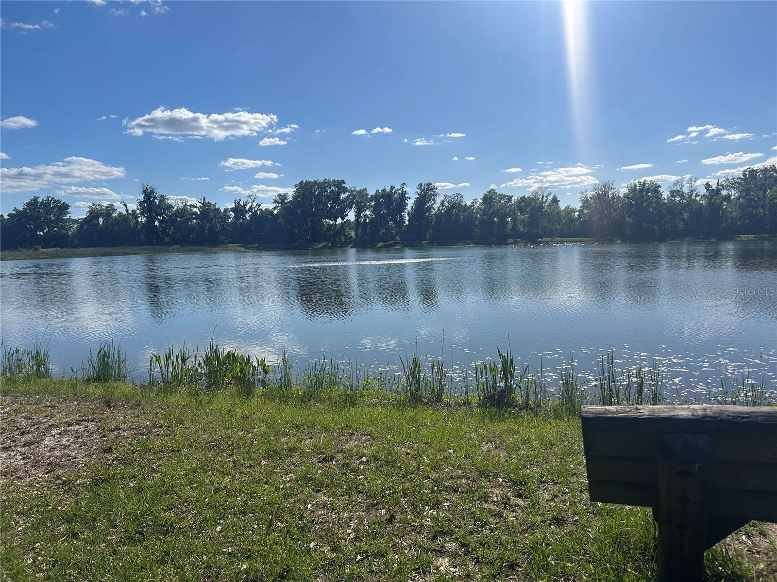 10495 Gliding Eagle Way Land O Lakes FL 34638 TB8496827 image49