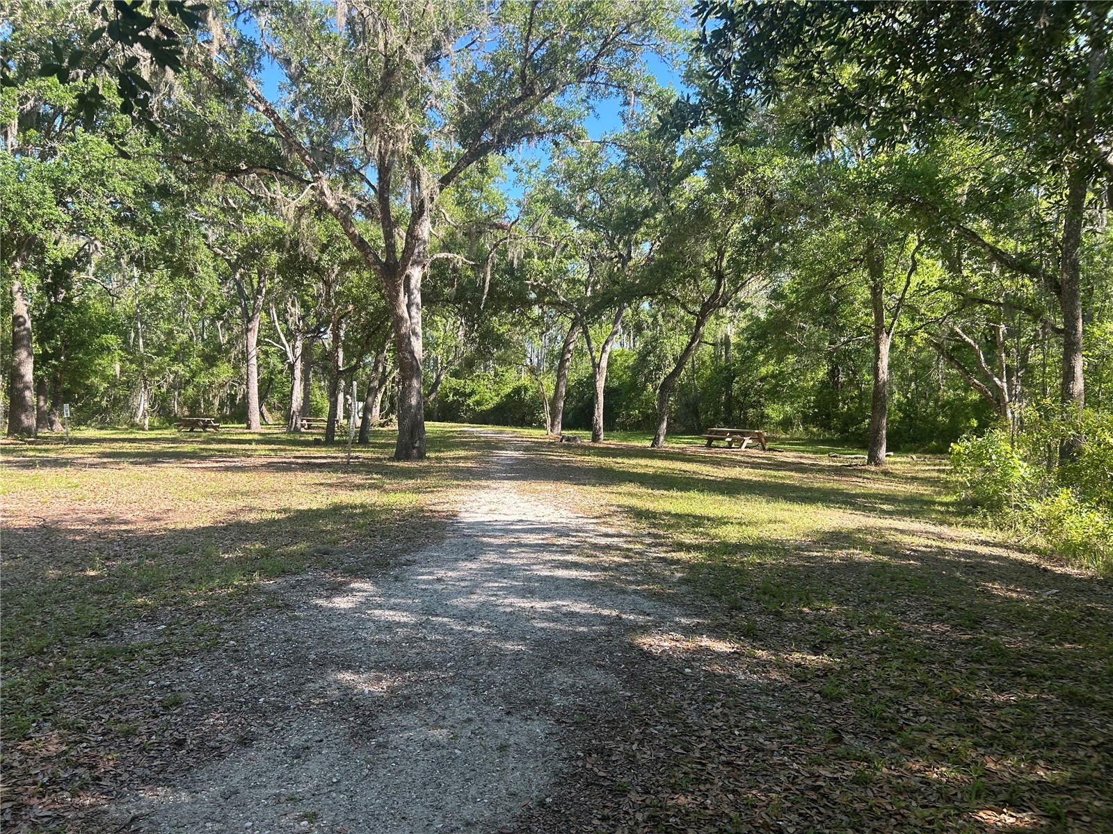 10495 Gliding Eagle Way Land O Lakes FL 34638 TB8496827 image50