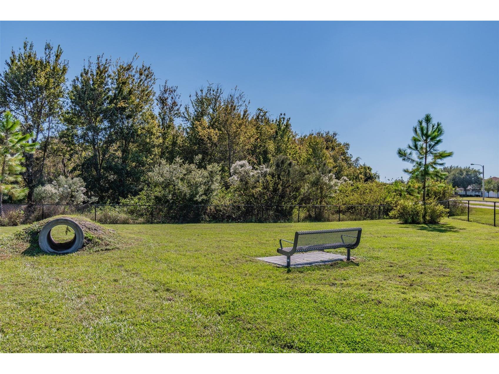 10495 Gliding Eagle Way Land O Lakes FL 34638 TB8496827 image66