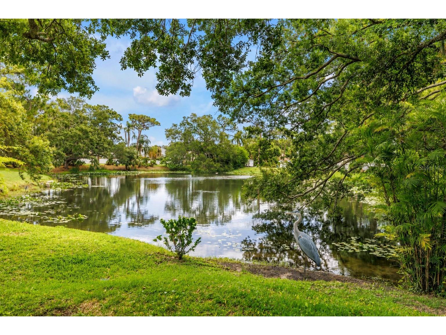 10495 Longwood Drive Seminole FL 33777 TB8480507 image1