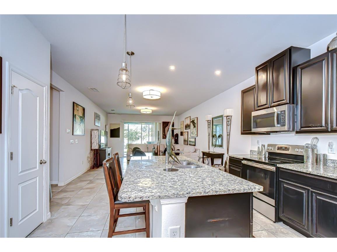 10497 Heron Hideaway Loop Land O Lakes FL 34638 TB8451381 image12