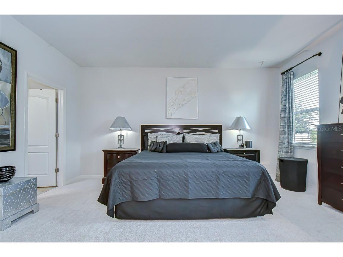 10497 Heron Hideaway Loop Land O Lakes FL 34638 TB8451381 image19