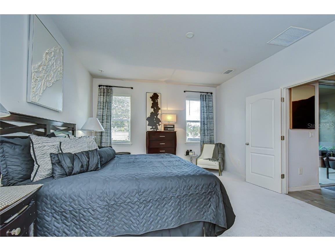 10497 Heron Hideaway Loop Land O Lakes FL 34638 TB8451381 image20