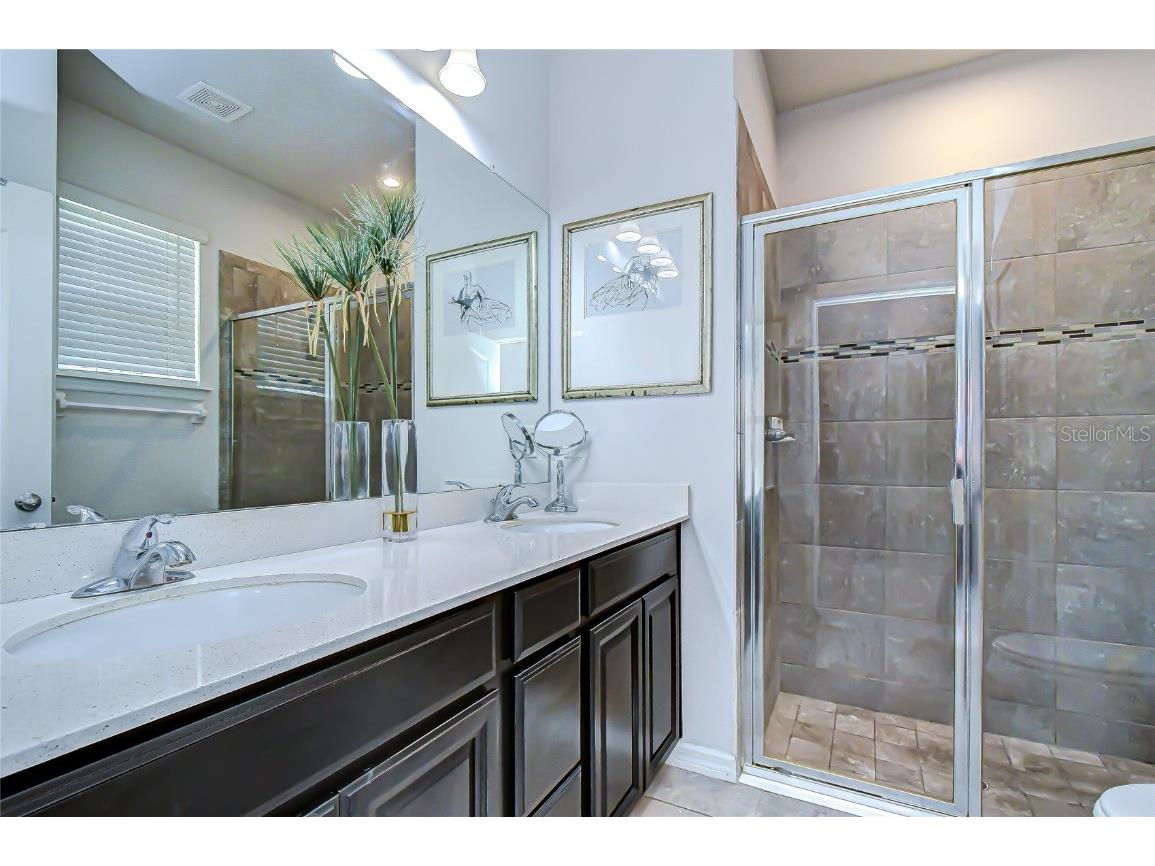 10497 Heron Hideaway Loop Land O Lakes FL 34638 TB8451381 image21