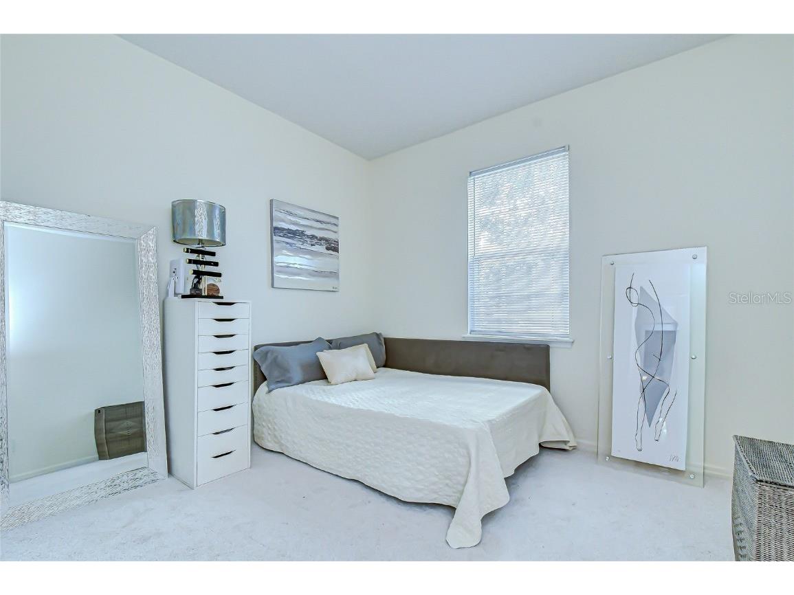 10497 Heron Hideaway Loop Land O Lakes FL 34638 TB8451381 image22