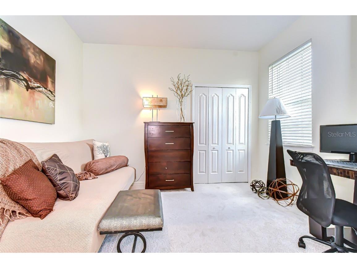 10497 Heron Hideaway Loop Land O Lakes FL 34638 TB8451381 image24