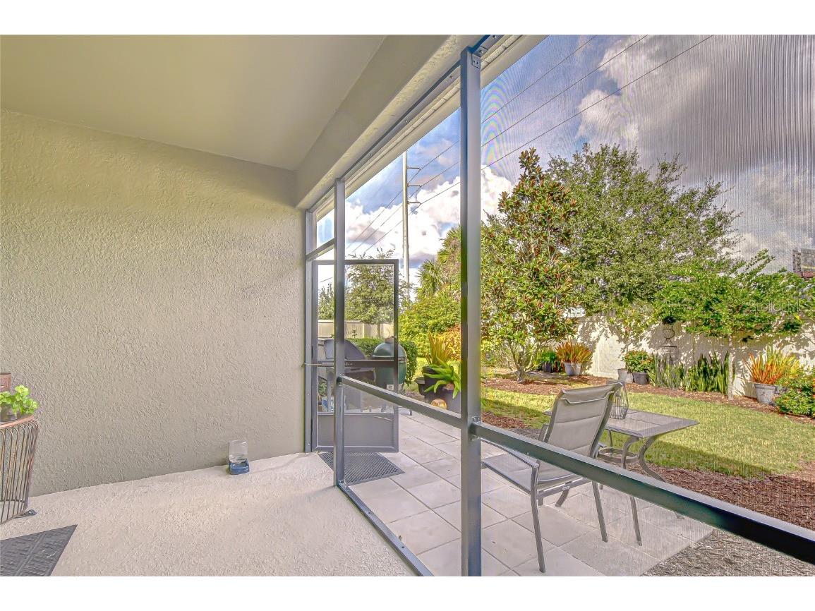 10497 Heron Hideaway Loop Land O Lakes FL 34638 TB8451381 image29