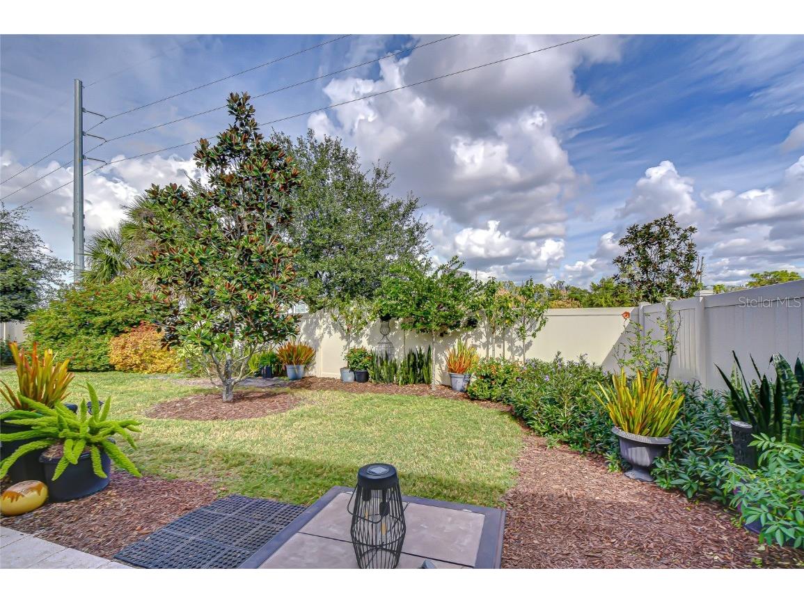 10497 Heron Hideaway Loop Land O Lakes FL 34638 TB8451381 image30