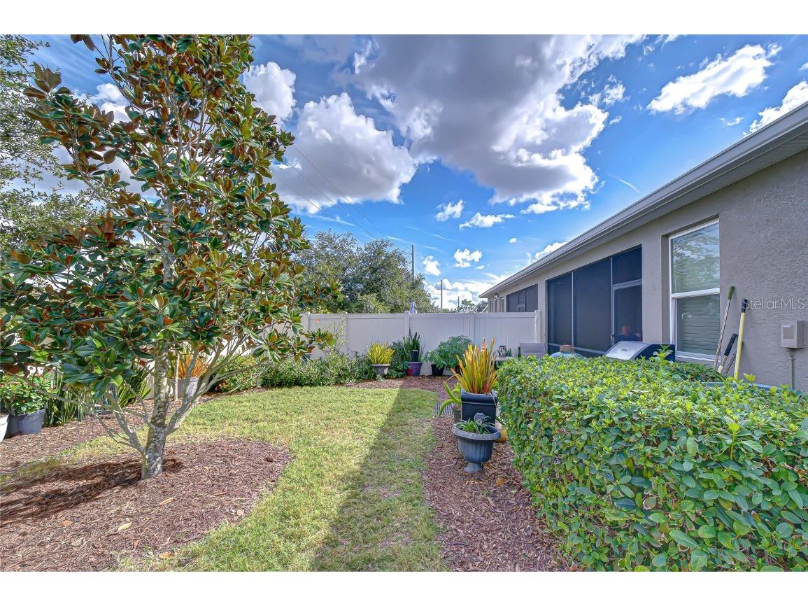 10497 Heron Hideaway Loop Land O Lakes FL 34638 TB8451381 image32