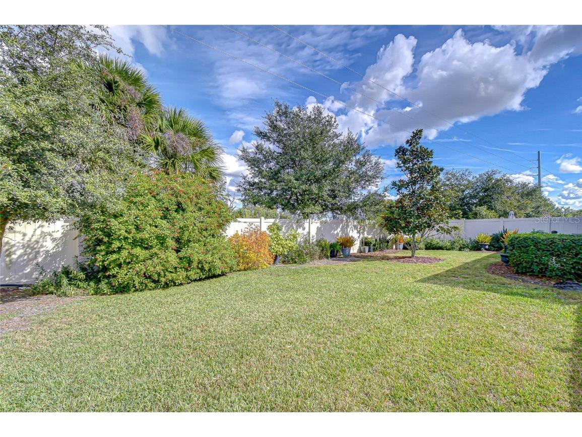 10497 Heron Hideaway Loop Land O Lakes FL 34638 TB8451381 image34