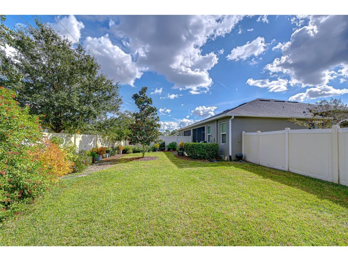 10497 Heron Hideaway Loop Land O Lakes FL 34638 TB8451381 image35