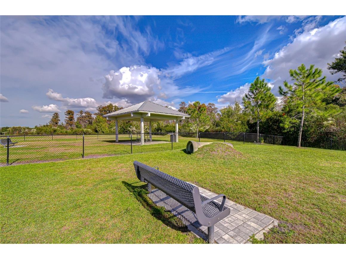 10497 Heron Hideaway Loop Land O Lakes FL 34638 TB8451381 image39