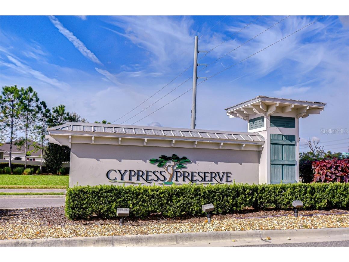 10497 Heron Hideaway Loop Land O Lakes FL 34638 TB8451381 image44