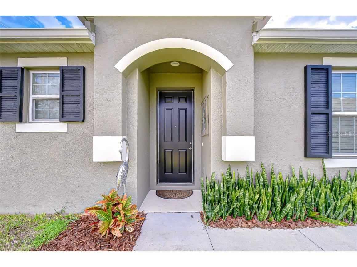 10497 Heron Hideaway Loop Land O Lakes FL 34638 TB8451381 image7