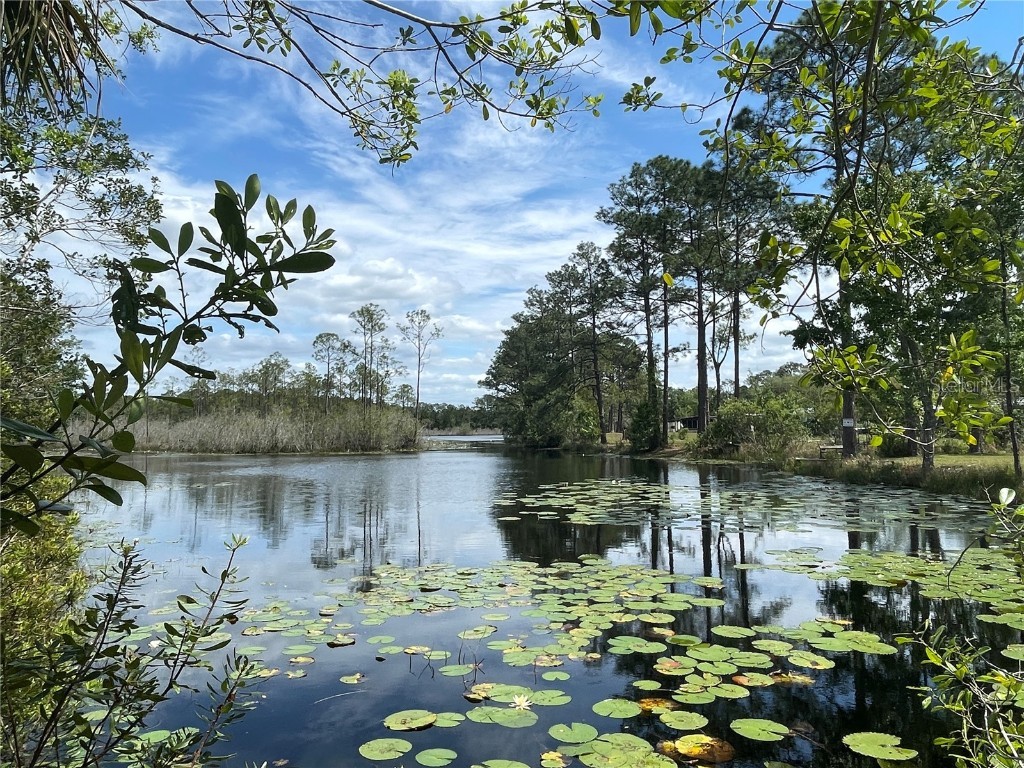 105 & 103 Seminole Trail Georgetown FL 32139 - SHELLCRACKER LAKE V4935361 image1