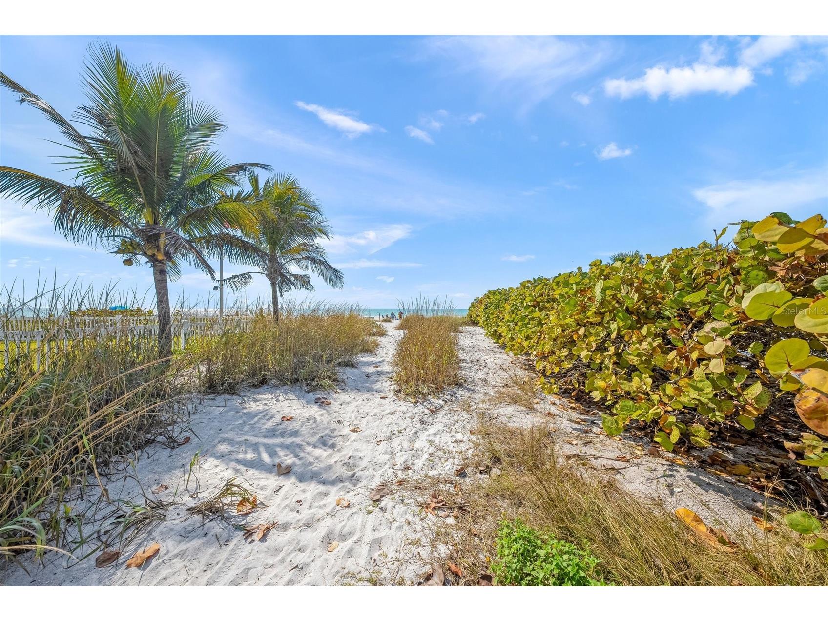 105 49th Street Holmes Beach FL 34217 A4683981 image55