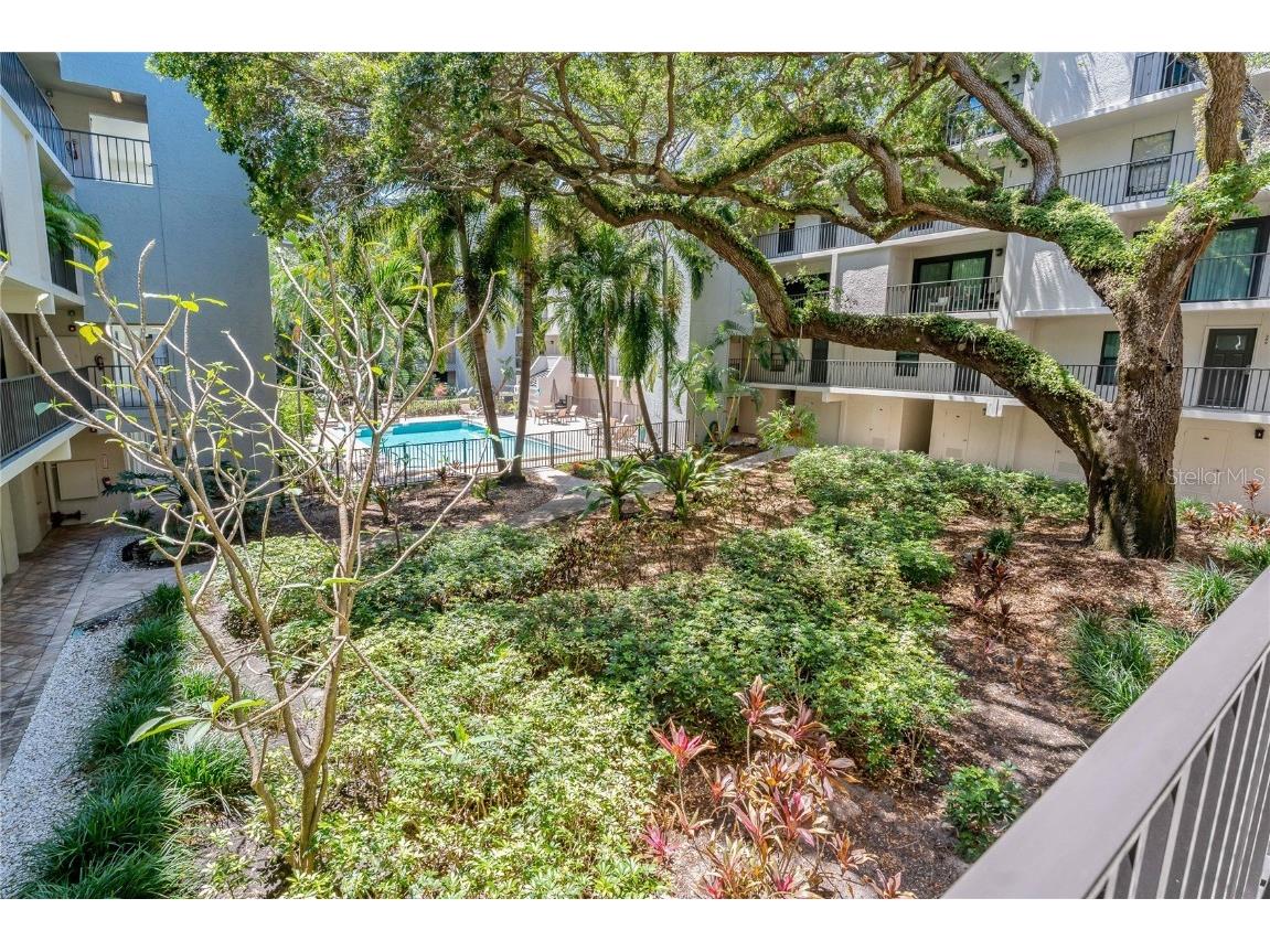 105 4th Avenue NE #220 Saint Petersburg FL 33701 TB8374716 image47