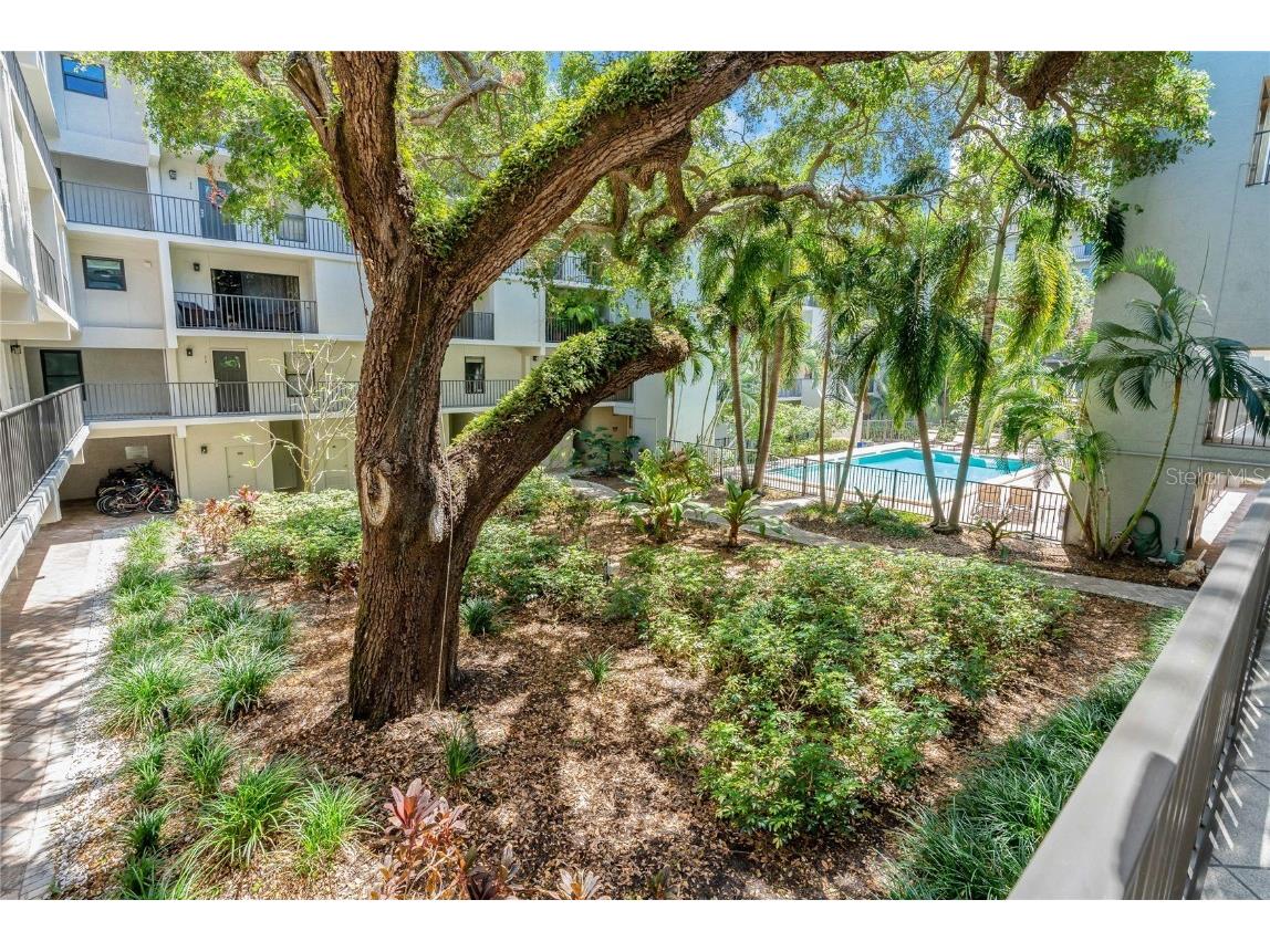 105 4th Avenue NE #220 Saint Petersburg FL 33701 TB8374716 image50