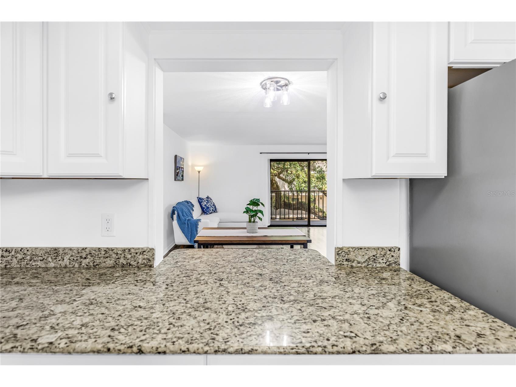 105 4th Avenue NE #220 Saint Petersburg FL 33701 TB8512352 image15