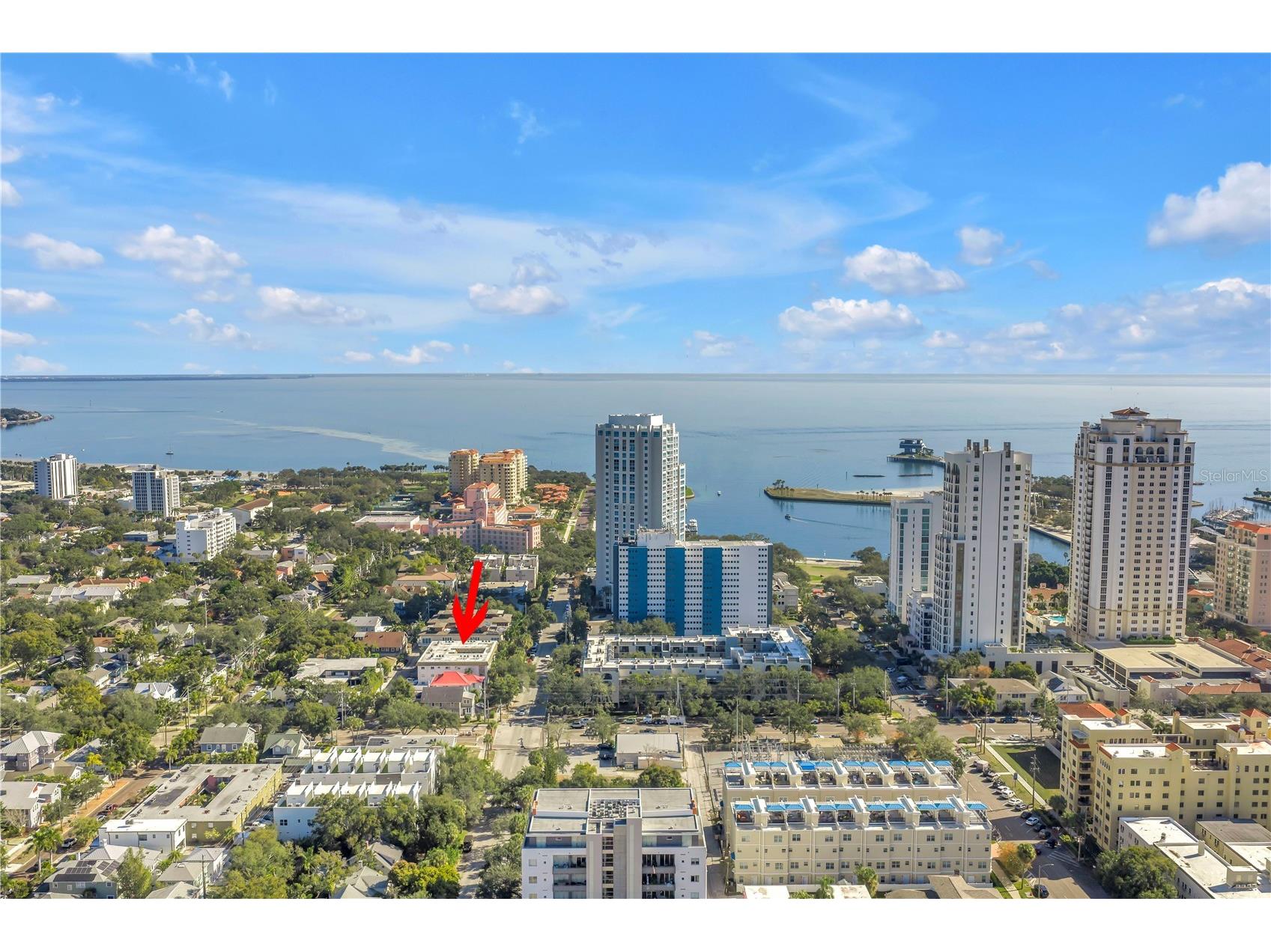 105 4th Avenue NE #220 Saint Petersburg FL 33701 TB8512352 image41