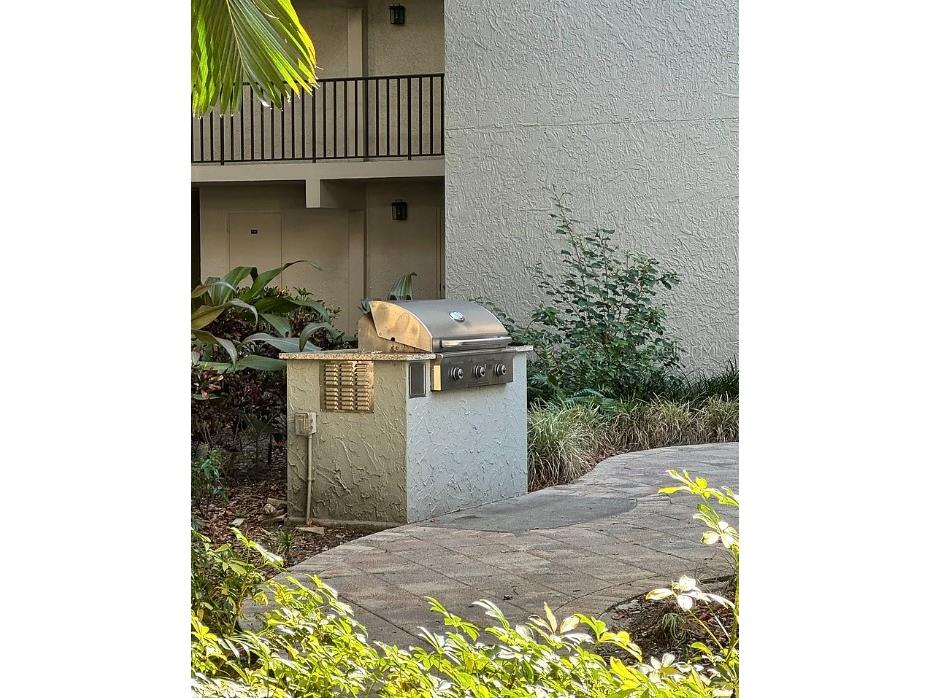 105 4th Avenue NE #223 Saint Petersburg FL 33701 TB8508476 image18